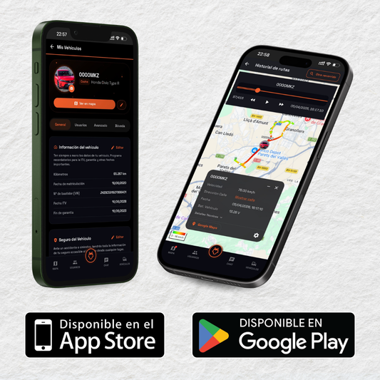 Localizador Antirrobo Coches LOBBO